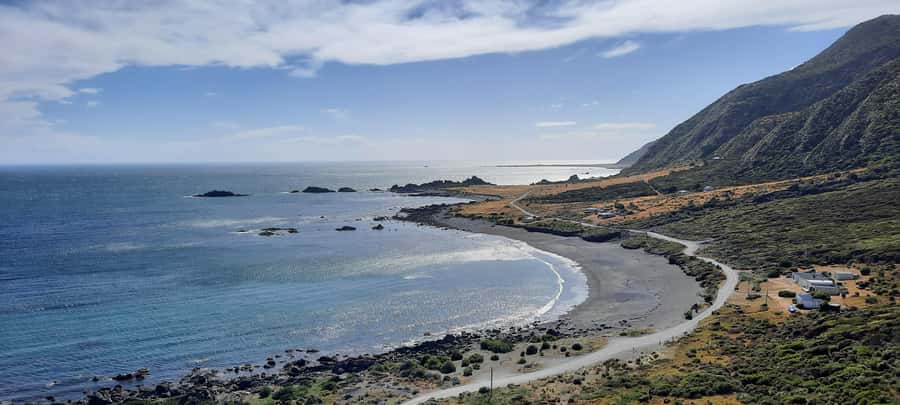 Martinborough Winery and South Wairarapa Wild Coast Tour - The small van, guide style, and comfort