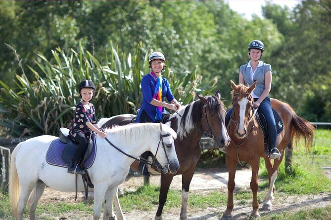 Matakana Art & Horse Riding Experience Private Tour From Auckland - Leaving Auckland for the Matakana countryside