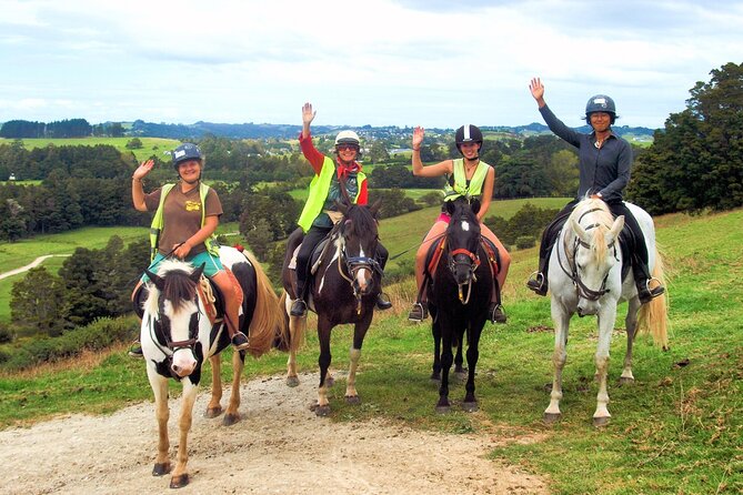 Matakana Art & Horse Riding Experience Private Tour From Auckland - Sculptureum: three hours with art indoors and out
