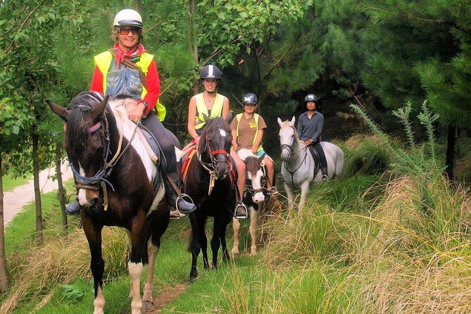 Matakana Art & Horse Riding Experience Private Tour From Auckland - Who will enjoy this private day most