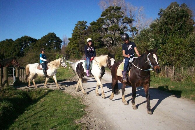 Matakana Art & Horse Riding Experience Private Tour From Auckland - Small details that make the day easier
