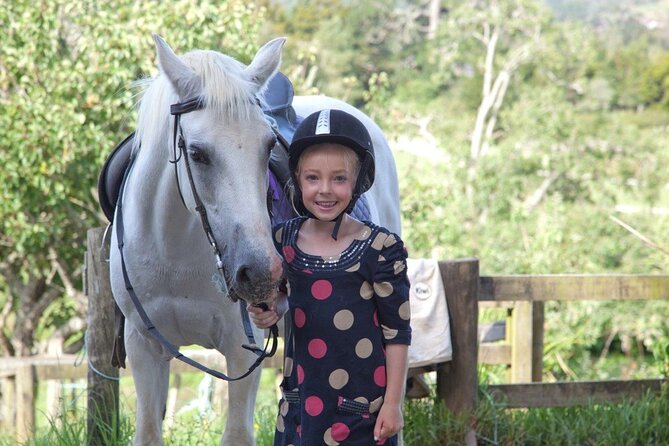 Matakana Art & Horse Riding Experience Private Tour From Auckland - Lunch, wine, chocolate, and gelato