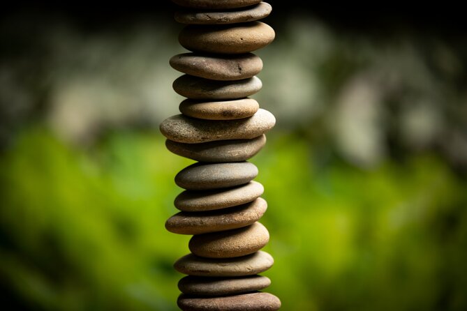 Matakana Art & Vineyard Experience incl. Lunch & Wine Tasting Tour From Auckland - Why this Matakana day trip works