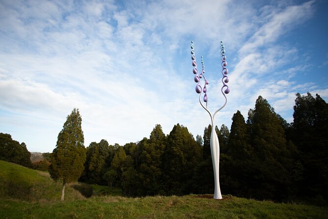 Matakana Art & Vineyard Experience incl. Lunch & Wine Tasting Tour From Auckland - What gives this experience its character