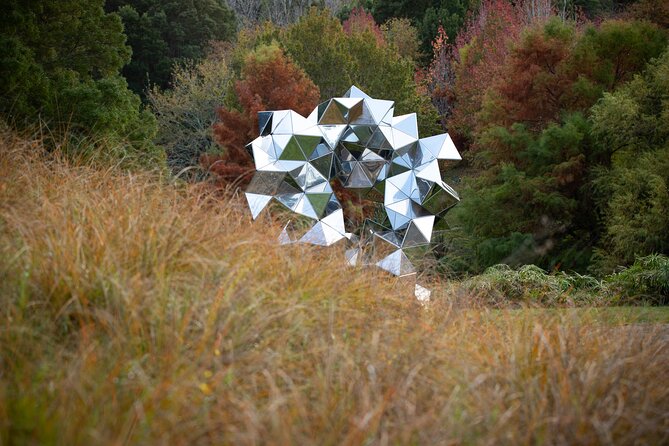 Matakana Art & Vineyard Experience incl. Lunch & Wine Tasting Tour From Auckland - Chocolate first at Chocolate Brown