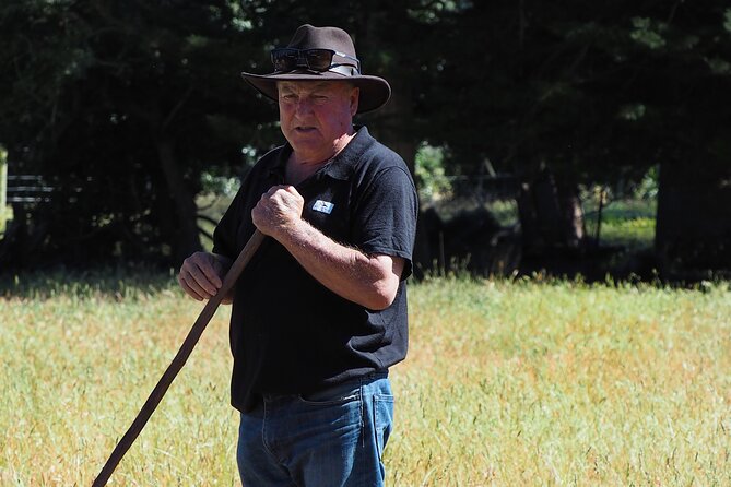 Merino Farm Experience - Hilltop views of the Southern Alps and rivers