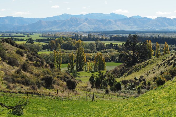 Merino Farm Experience - Starting at 1038 Karaka Road