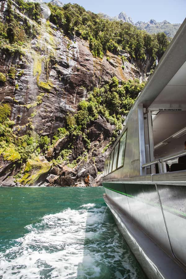 Milford Sound: 2-Hour Small Boat Scenic Cruise - Wildlife watching at the mouth of the fiord