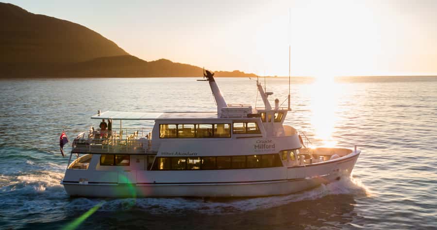 Milford Sound: Boutique Small-Boat Cruise - Wildlife: seals are likely, dolphins are possible