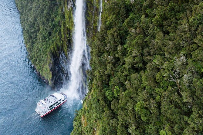 Milford Sound Coach & Cruise ex Te Anau Stunning Views with Lunch - Lunch, tea, coffee, and the onboard experience