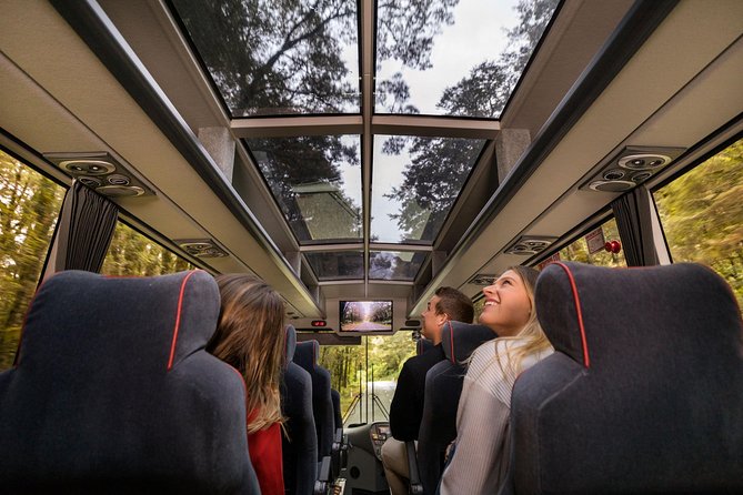 Milford Sound Coach & Cruise from Queenstown: Panoramic Views - Lunch, commentary, and the human side of the day