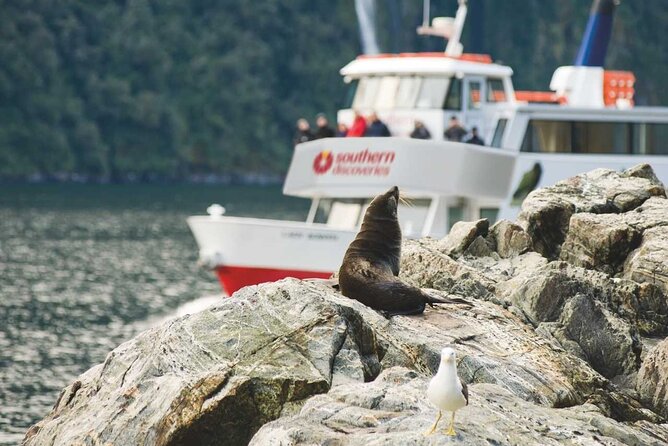 Milford Sound Coach & Extended Cruise from Queenstown - How the price works out at $207.89