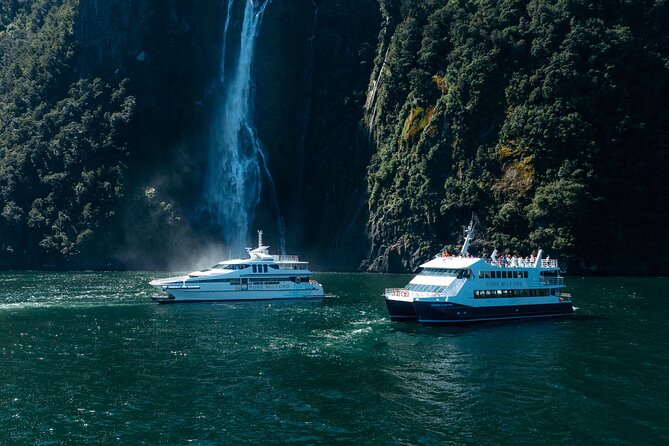 Milford Sound Cruise - Key points to know before booking