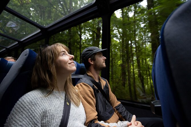Milford Sound Cruise from Queenstown or Te Anau - Is the $145.83 price good value?