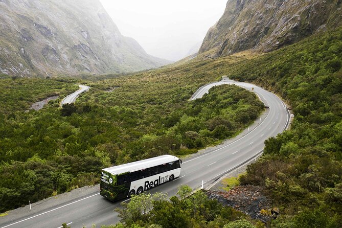 Milford Sound Cruise from Queenstown or Te Anau - The guides can make or break the day