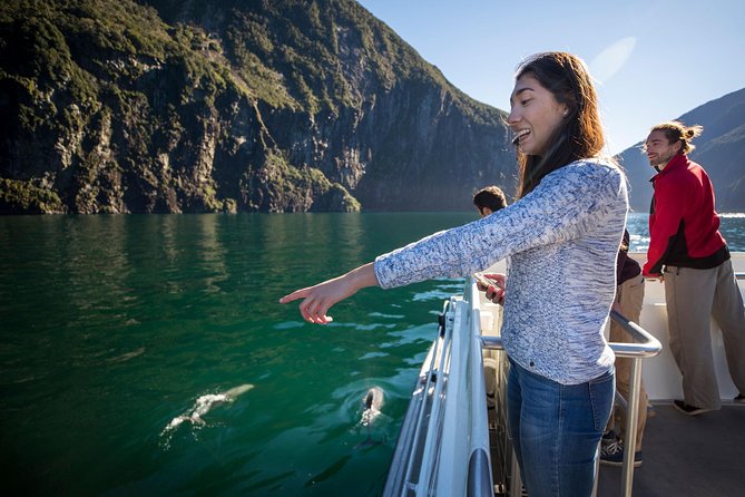 Milford Sound Cruise: Stunning Views & Optional Picnic or Buffet - The boat, commentary, and group size