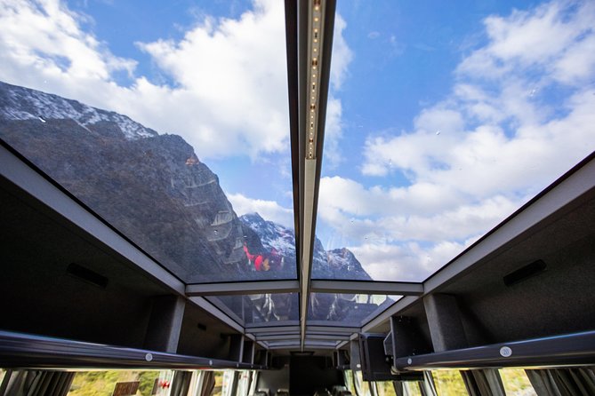 Milford Sound Day Tour from Queenstown - Choosing between the picnic and buffet lunch