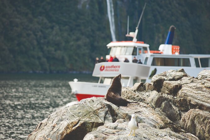 Milford Sound Extended Cruise with Southern Discoveries - Key points at a glance