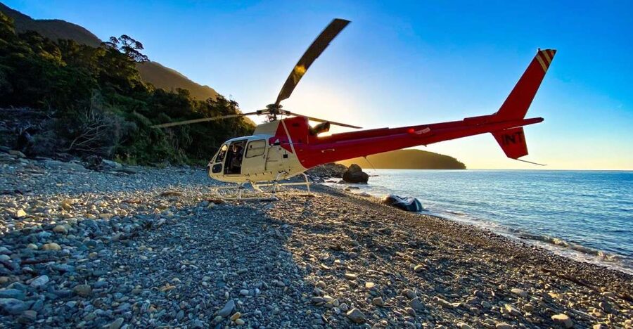 Milford Sound Extended Helicopter Flight & 3 Landings - Third landing: glacier or alpine country