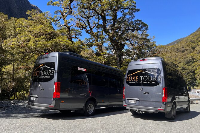 Milford Sound Full Day Tour from Te Anau with Cruise - Why the Te Anau to Milford road matters