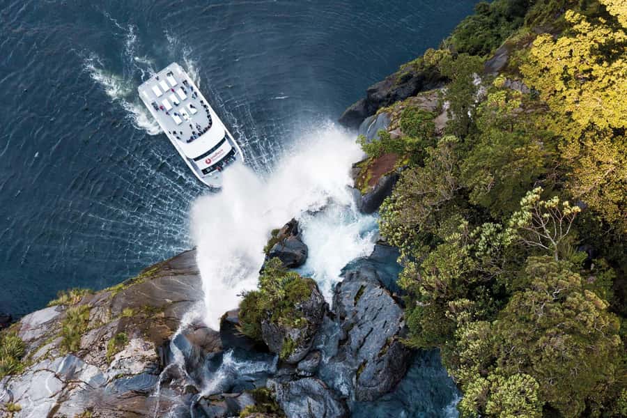 Milford Sound: Nature Cruise - Grand Views & Optional Lunch - Why Milford Sound belongs on your New Zealand plan