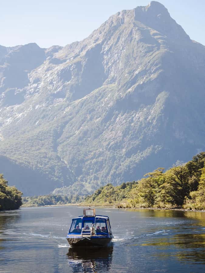 Milford Sound: Nature Cruise & Milford Track Walk - What kind of day should you expect?