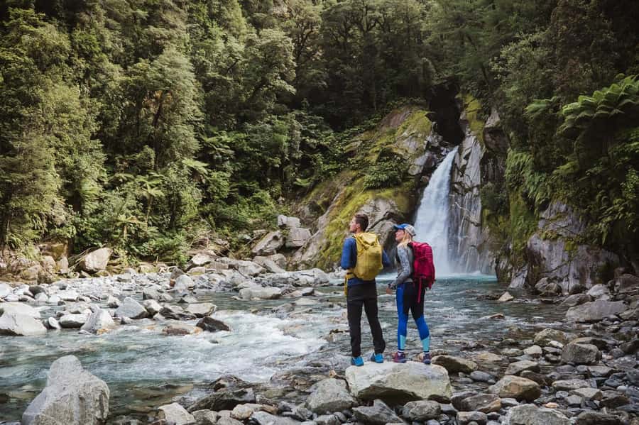 Milford Sound: Nature Cruise & Milford Track Walk - Who will get the most from this experience?