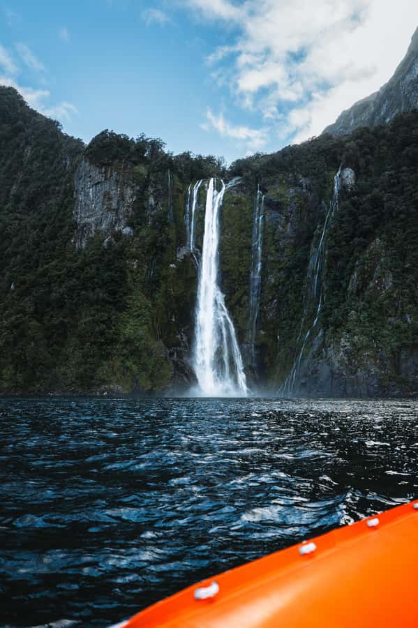 Milford Sound: Nature Cruise on a Modern Catamaran - Who will enjoy this cruise most?