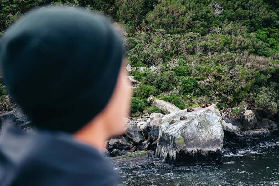 Milford Sound: Nature Cruise on a Modern Catamaran - Food, drinks, and comfort on board