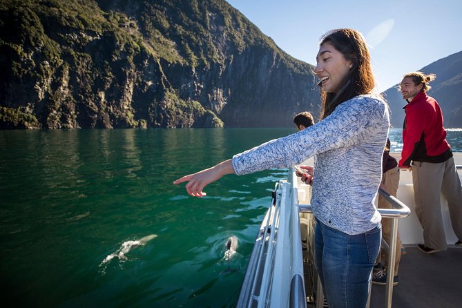 Milford Sound Nature Cruise with Southern Discoveries - What the Milford Sound cruise is really about