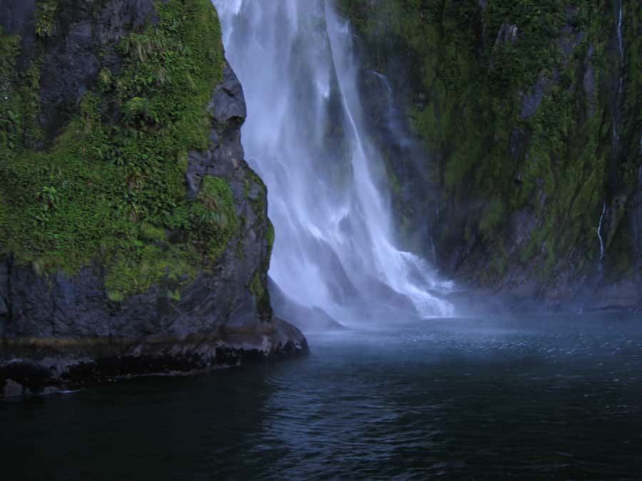 Milford Sound Premium Day Tour and Cruise from Te Anau - Key points to know before booking