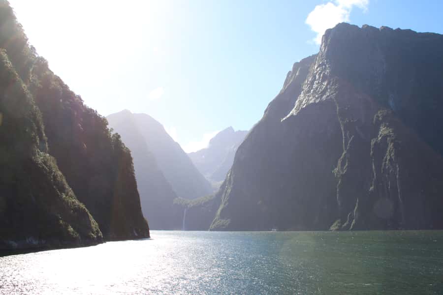 Milford Sound Premium Day Tour and Cruise from Te Anau - A five-minute walk through rainforest
