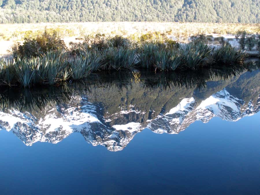 Milford Sound Premium Day Tour and Cruise from Te Anau - How much comfort do you really get?