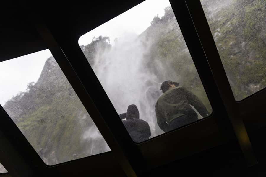 Milford Sound: Premium Small Group Cruise with Canape Lunch - Looking for Seals, Dolphins, and Penguins