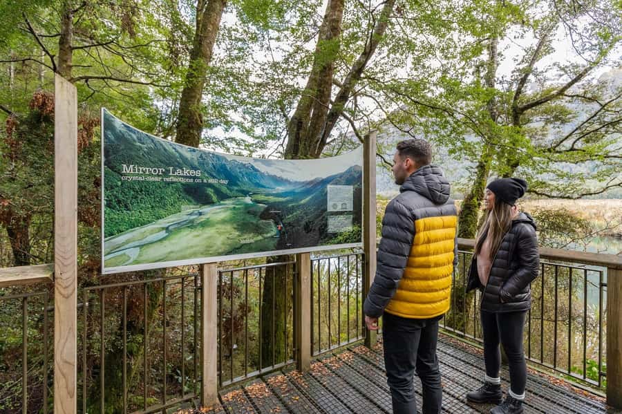Milford Sound: Premium Small Group Tour from Queenstown - Fiordland National Park and the famous Milford Road