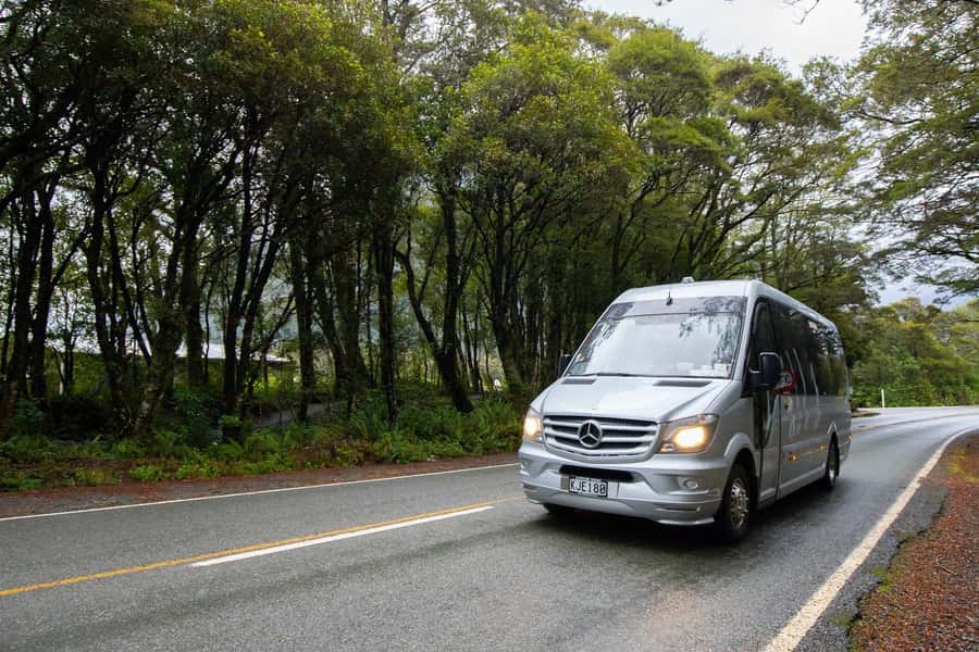Milford Sound: Premium Small Group Tour from Queenstown - Who will enjoy this tour most?