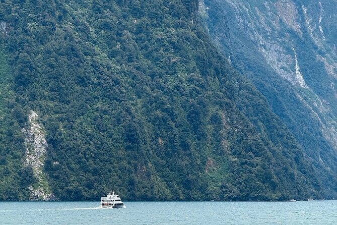 Milford Sound Private Day Trip from Queenstown via Te Anau - Key points to know before you book