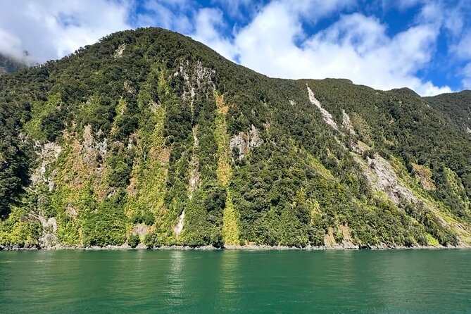 Milford Sound Private Day Trip from Queenstown via Te Anau - Milford Sound is the day’s main event
