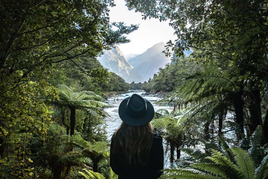 Milford Sound: Self-Guided Milford Track Day Walk - A short taste of New Zealand’s famous Milford Track