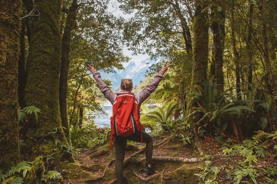 Milford Sound: Self-Guided Milford Track Day Walk - What to bring for the Milford Track section