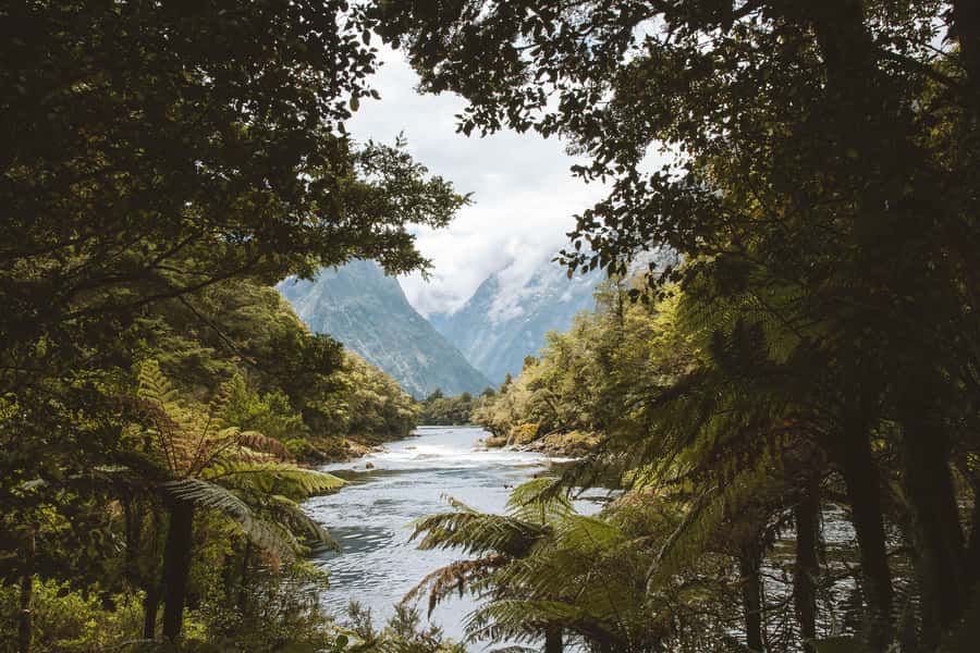Milford Sound: Self-Guided Milford Track Day Walk - Who will enjoy this walk most?