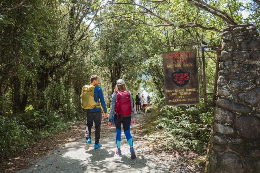 Milford Sound: Self-Guided Milford Track Day Walk - From Deepwater Basin to Sandfly Point