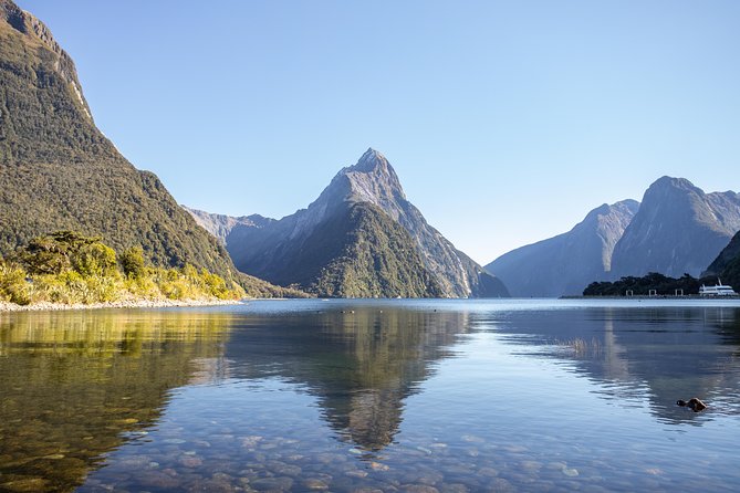 Milford Sound Small Group Tour from Queenstown with Scenic Flight - Why the road, cruise, and flight combination works