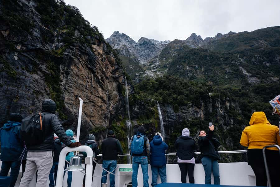 Milford Sound: Waterfalls, Wildlife, and Rainforest Cruise - Is $83 a fair price?