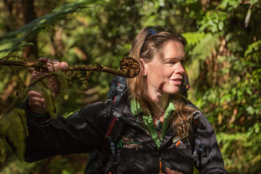 Milford Track: Full Day Guided Hike and Nature Cruise - Key points to know before booking