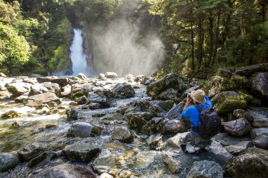 Milford Track: Full Day Guided Hike and Nature Cruise - What the guide adds for the $215 price