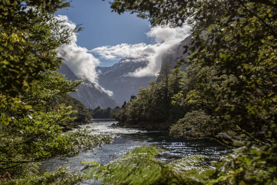 Milford Track: Full Day Guided Hike and Nature Cruise - Getting to Mitre Peak Cruises before 8:30 AM