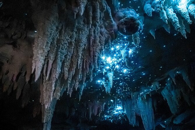Milky Way Glowworm Cave Tour - Key points to know before you book