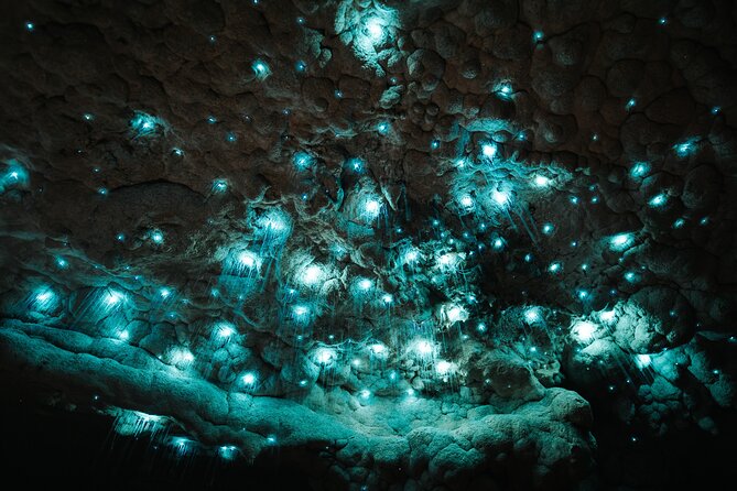 Milky Way Glowworm Cave Tour - Thirty steps and a concrete cave path