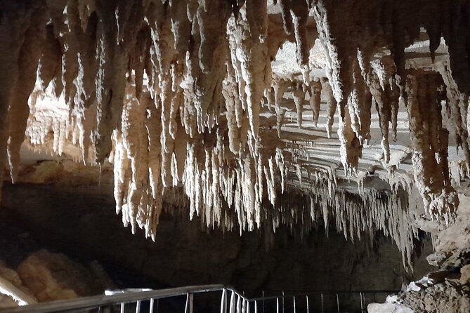 Milky Way Glowworm Cave Tour - How the glowworm viewing unfolds